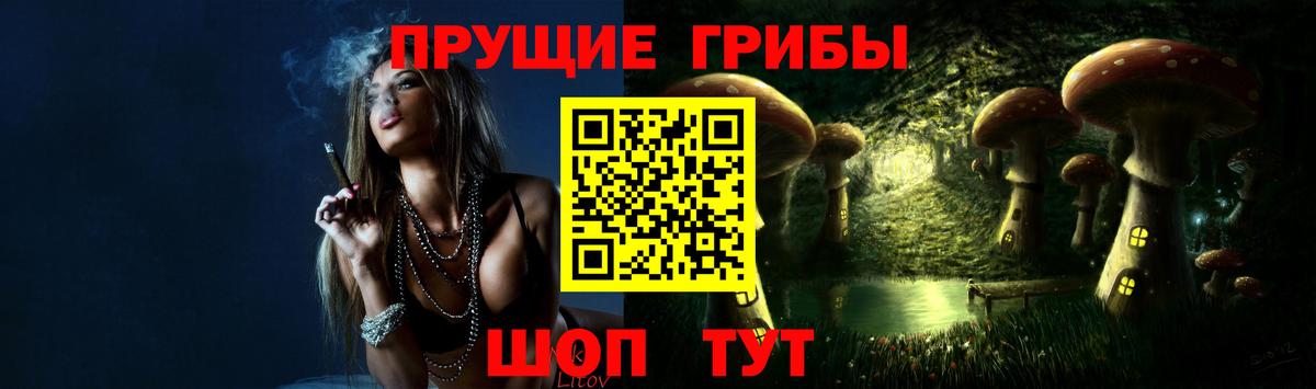 Псилоцибиновые грибы прущие грибы  Вход с VPN  Отрадный 